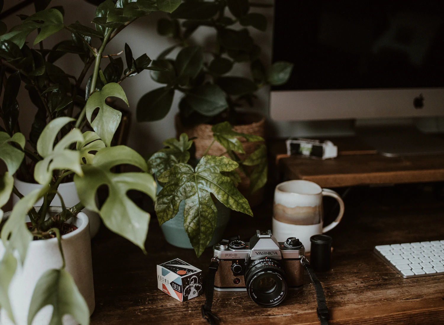 A camera, plants, and a quiet home workspace